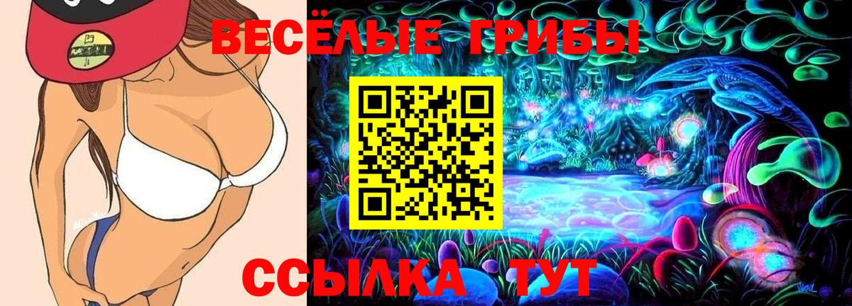 Псилоцибиновые грибы прущие грибы Тобольск