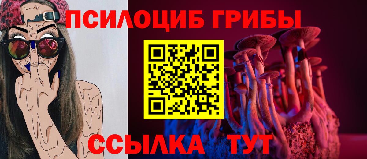 Тобольск  Галлюциногенные грибы мухоморы  Вход с VPN 